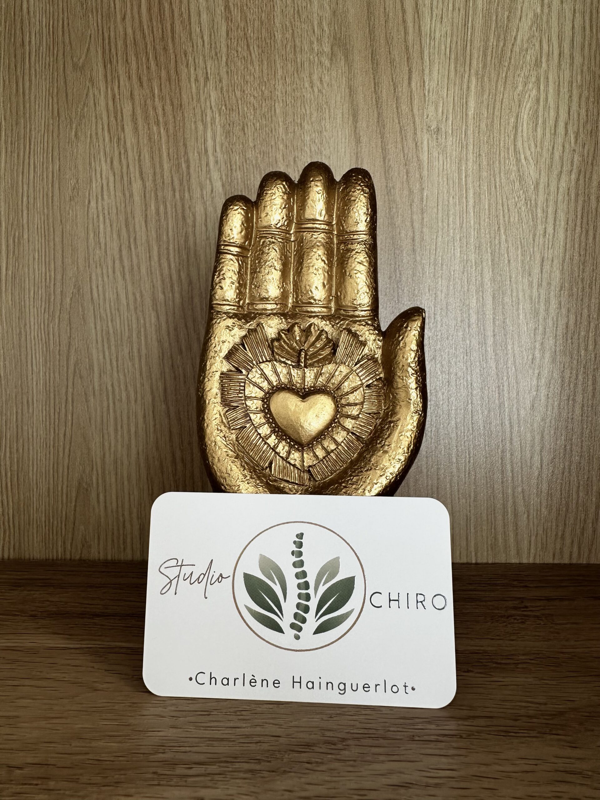 Chiropracteur Reims
